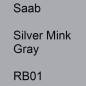 Preview: Saab, Silver Mink Gray, RB01.